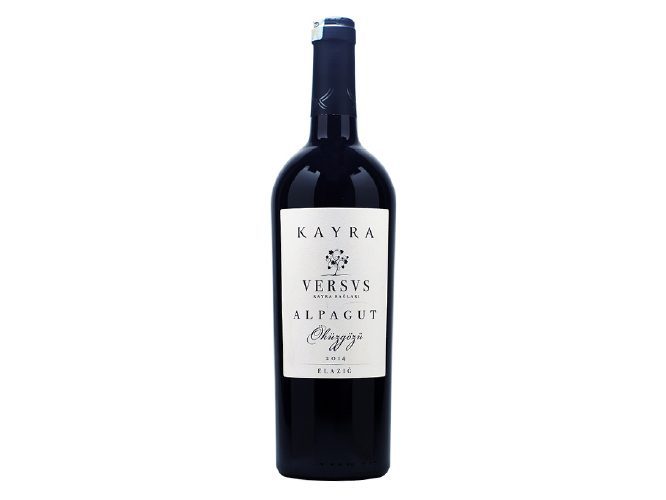 KAYRA VERSUS ALPAGUT ÖKÜZGÖZÜ
